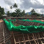 new-leaf-detox-resort-pool-16