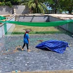 new-leaf-detox-resort-pool-30