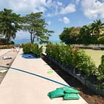 new-leaf-detox-resort-pool-42