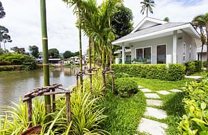 Welcome to New Leaf Wellness Samui Plus+ Sandbox Deluxe Packages Welcome to New Leaf Wellness Samui Plus+ Sandbox Deluxe Packages