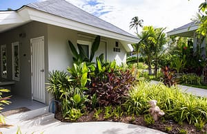 New Leaf Wellness: Best Detox Thailand New Leaf Wellness: Best Detox Thailand