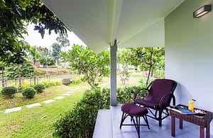 New Leaf Wellness: Best Detox Thailand New Leaf Wellness: Best Detox Thailand