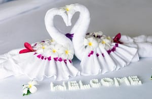 Welcome to New Leaf Wellness Resort Samui Plus+ Sandbox Deluxe Package Welcome to New Leaf Wellness Resort Samui Plus+ Sandbox Deluxe Package