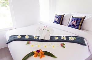 New Leaf Standard Bungalow | Best Detox Thailand New Leaf Standard Bungalow | Best Detox Thailand