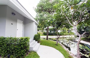 New Leaf Deluxe bungalow | Best Detox Thailand New Leaf Deluxe bungalow | Best Detox Thailand