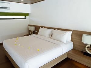 Loft Room: New Leaf Wellness Samui Plus+ Sandbox Deluxe Packages Loft Room: New Leaf Wellness Samui Plus+ Sandbox Deluxe Packages