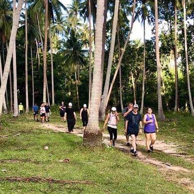 Jungle hike With New Leaf Wellness Resort Jungle hike With New Leaf Wellness Resort