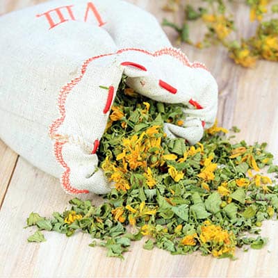 health and wellness resort health and wellness resort