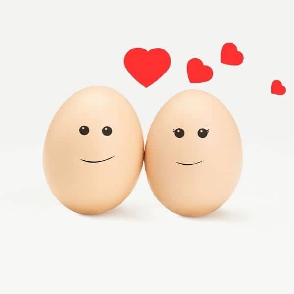 Happy Eggs Happy Eggs