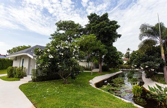 around-the-resort-10 around-the-resort-10