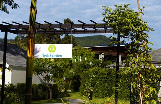 around-the-resort-11 around-the-resort-11