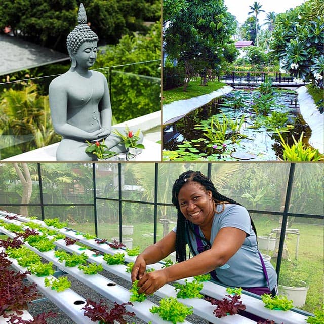 around-the-resort resort area at new leaf